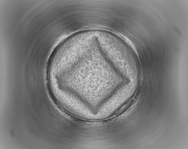 X0000115550997200912041028