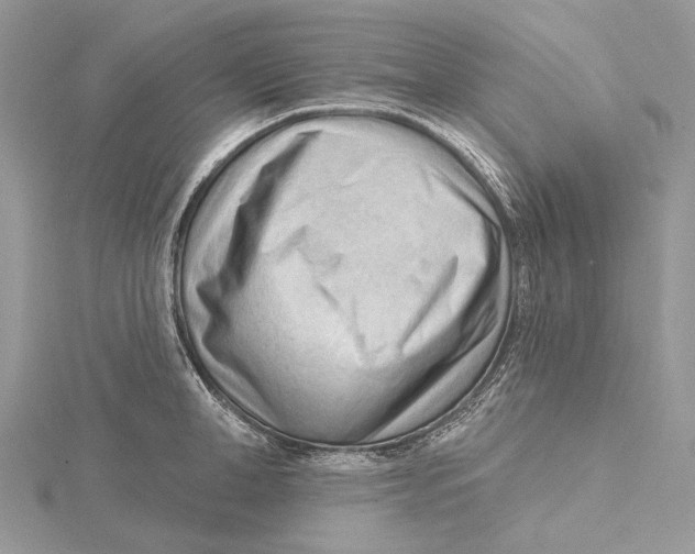 X0000115550998200912041028