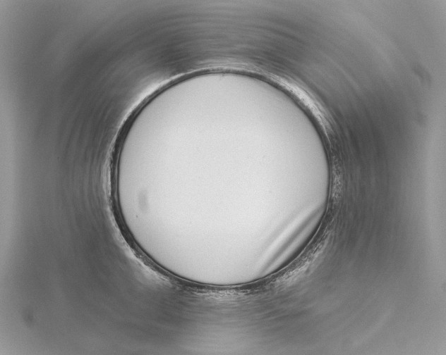 X0000115550999200912041028