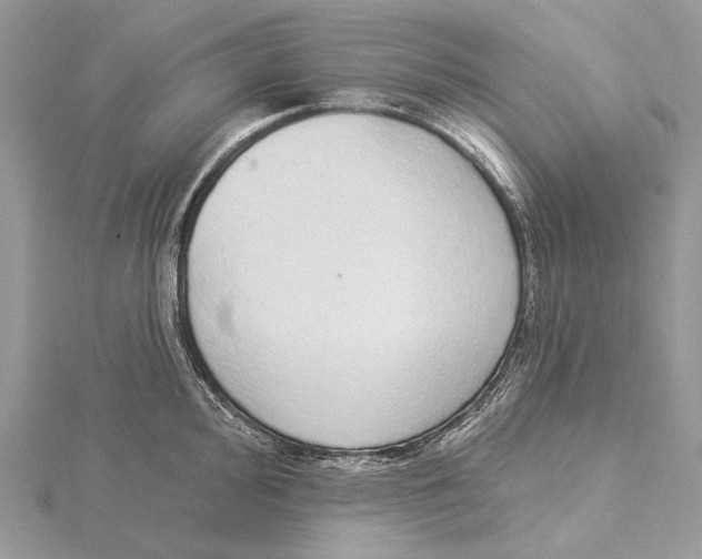 X0000115551000200912041028