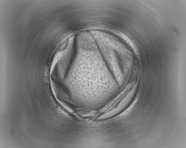 X0000115551001200912041028