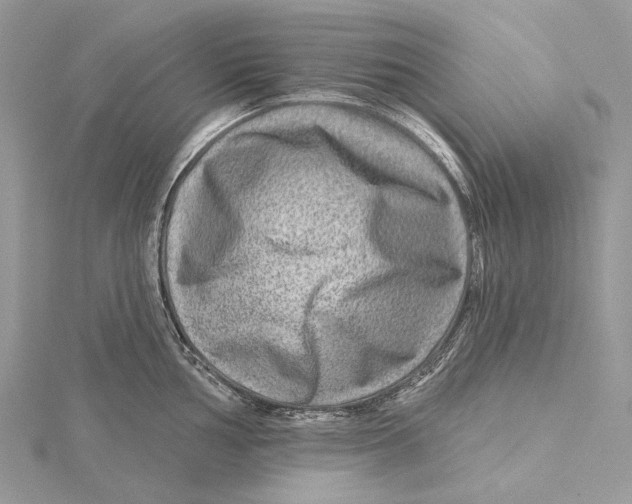 X0000115551002200912041028