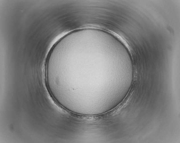 X0000115551003200912041028