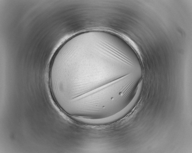 X0000115551005200912041028