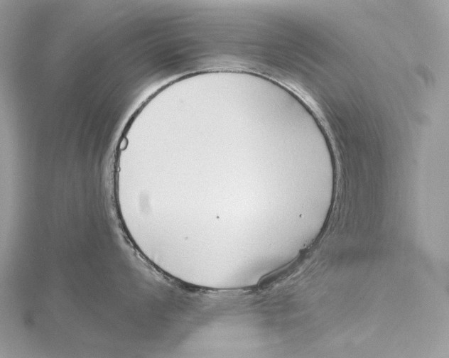 X0000115551008200912041028