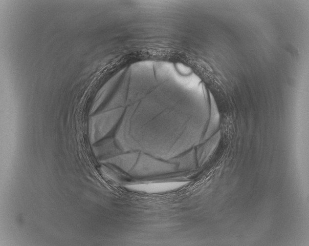 X0000115551009200912041027