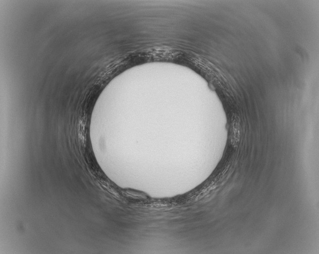 X0000115551010200912041028