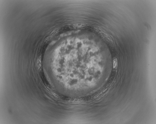 X0000115551011200912041028