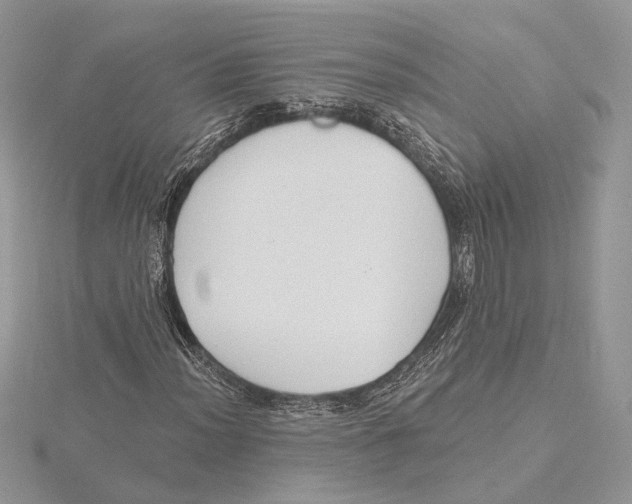 X0000115551012200912041028