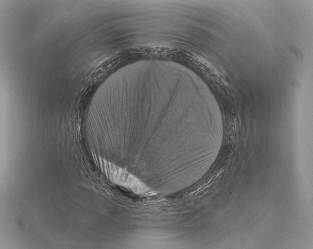 X0000115551013200912041028