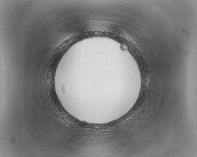 X0000115551014200912041028