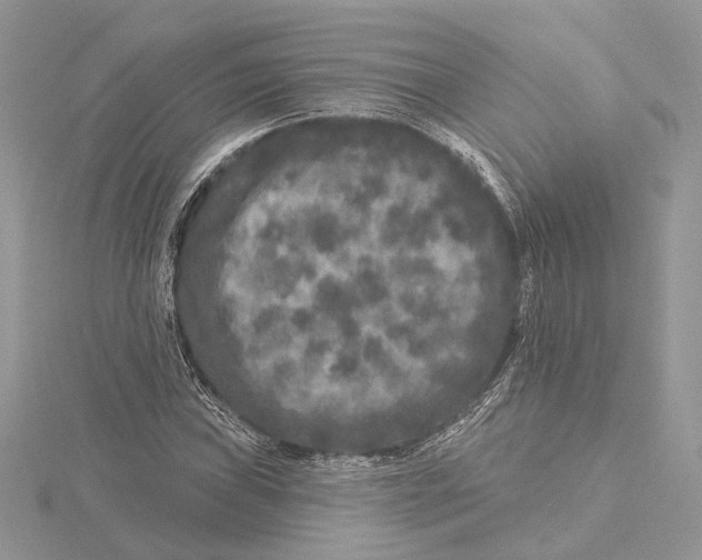 X0000115551019200912041028