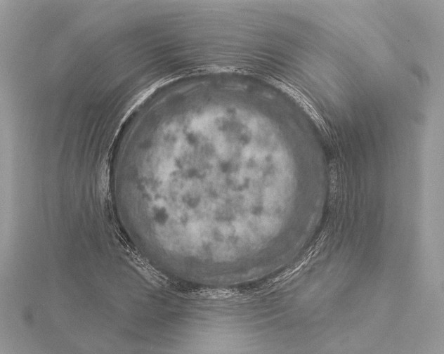 X0000115551023200912041028