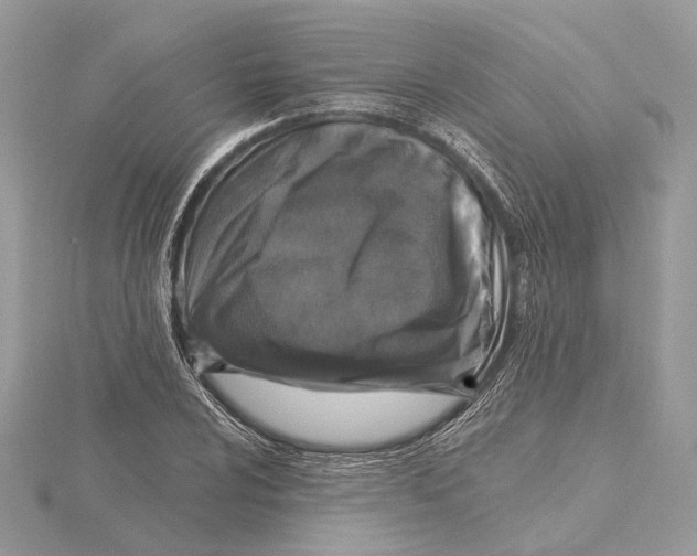 X0000115551024200912041028