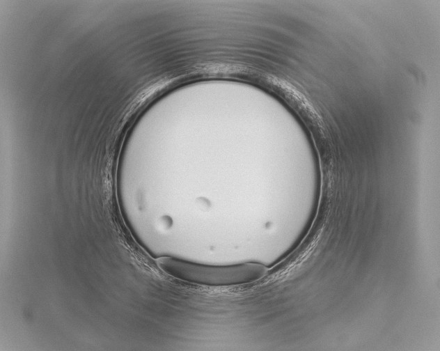 X0000115551025200912041028