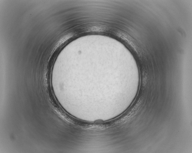 X0000115551026200912041028