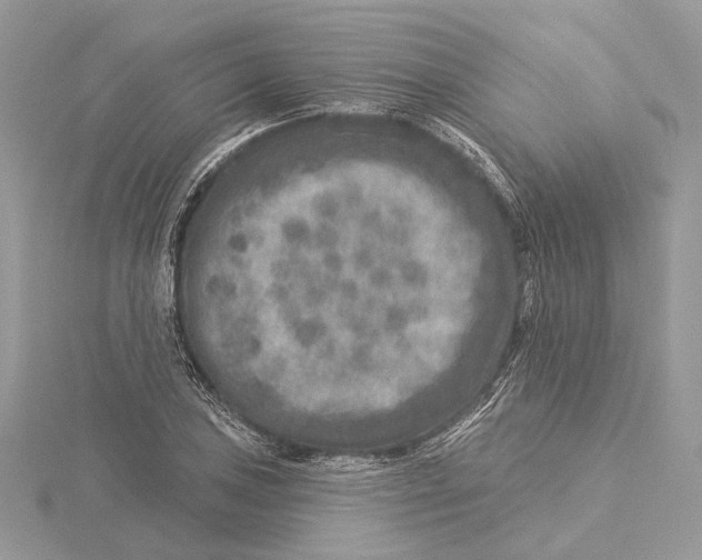 X0000115551027200912041028