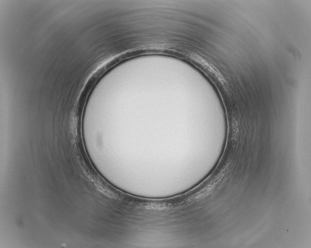 X0000115551029200912041028