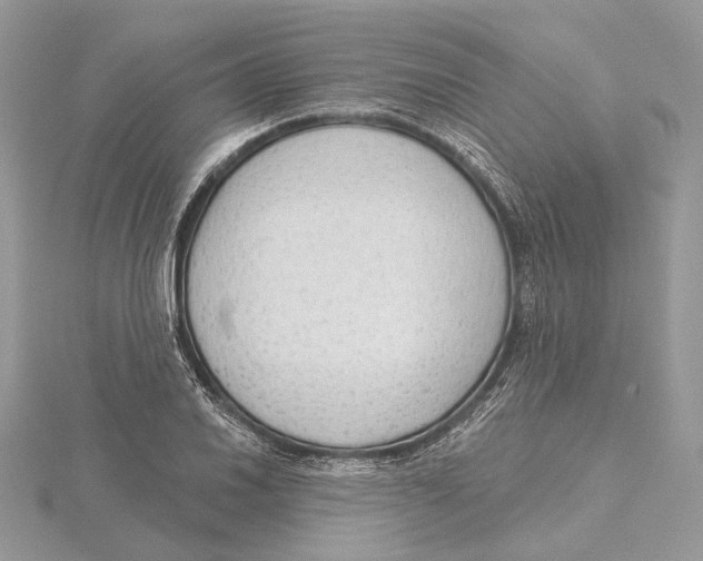 X0000115551030200912041028