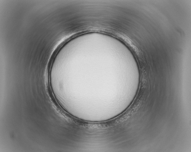 X0000115551032200912041028