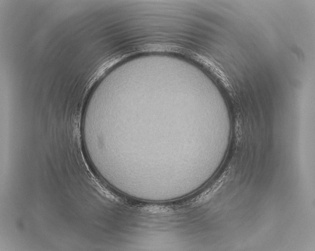 X0000115551033200912041028