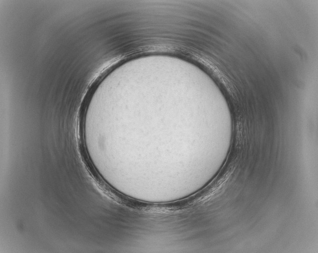 X0000115551034200912041028