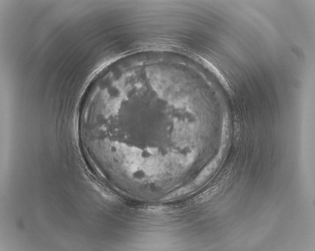 X0000115551035200912041028