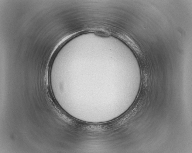 X0000115551036200912041028