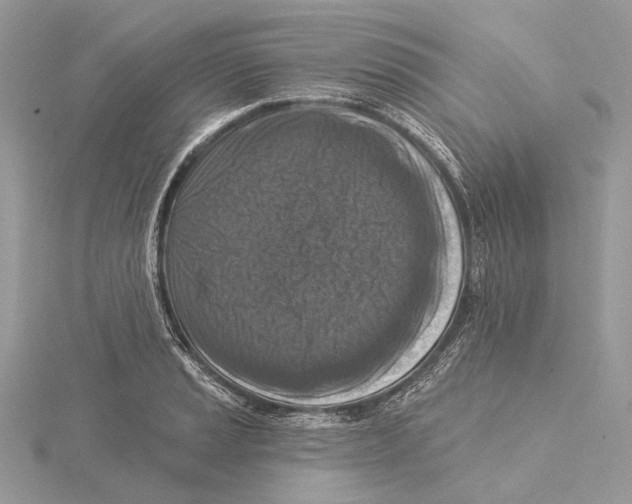 X0000115551037200912041028