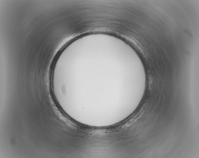 X0000115551038200912041028