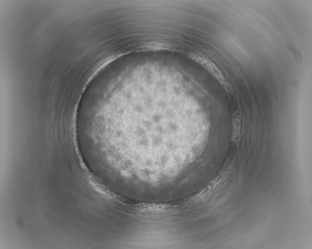 X0000115551039200912041028