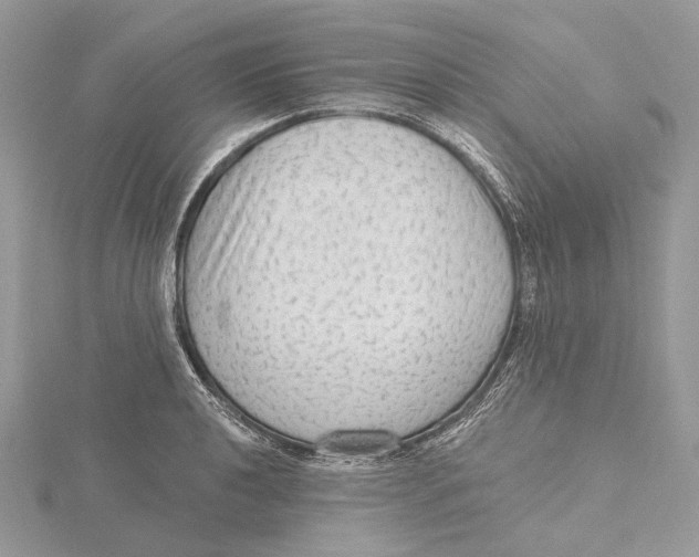 X0000115551040200912041028