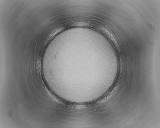 X0000115551041200912041028