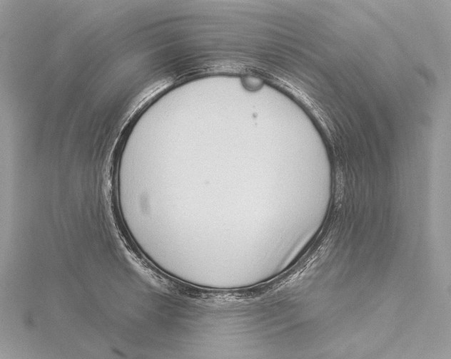 X0000115551042200912041028