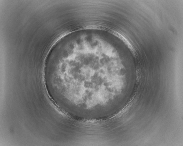 X0000115551043200912041028