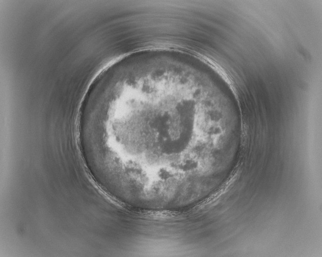 X0000115551045200912041028