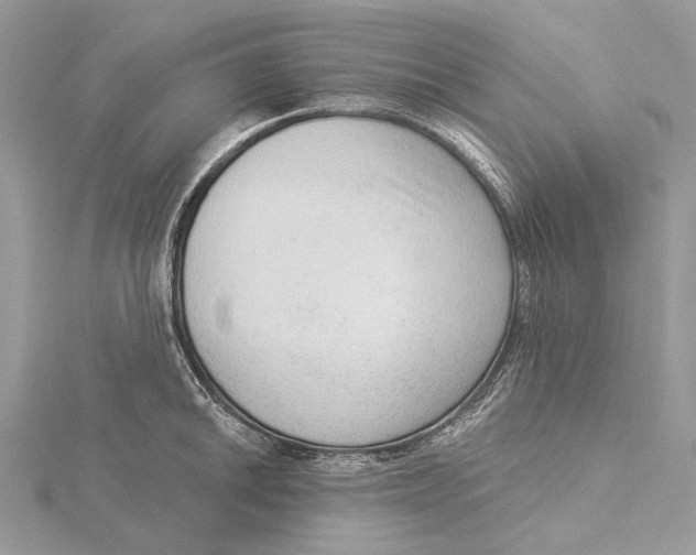 X0000115551046200912041028