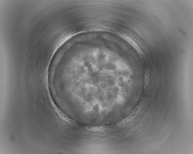 X0000115551047200912041028