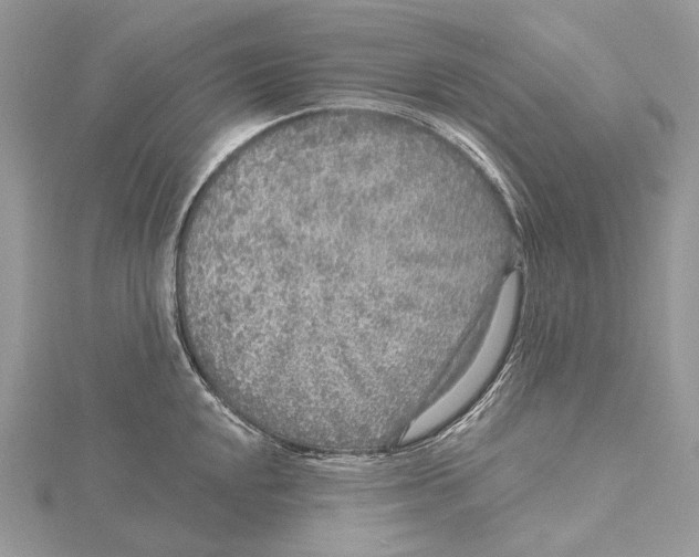 X0000115551048200912041028