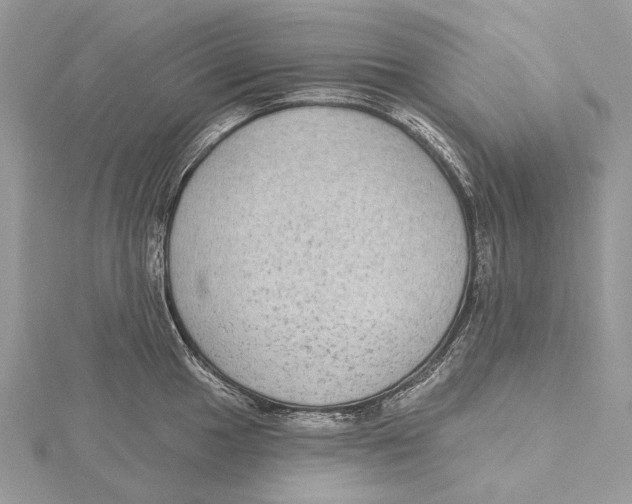 X0000115551049200912041028