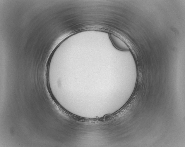 X0000115551050200912041028