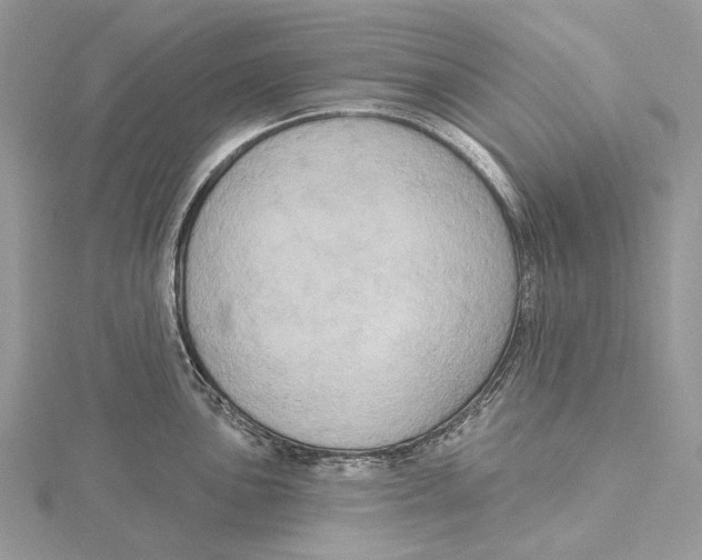 X0000115551051200912041028