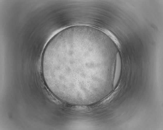 X0000115551052200912041028