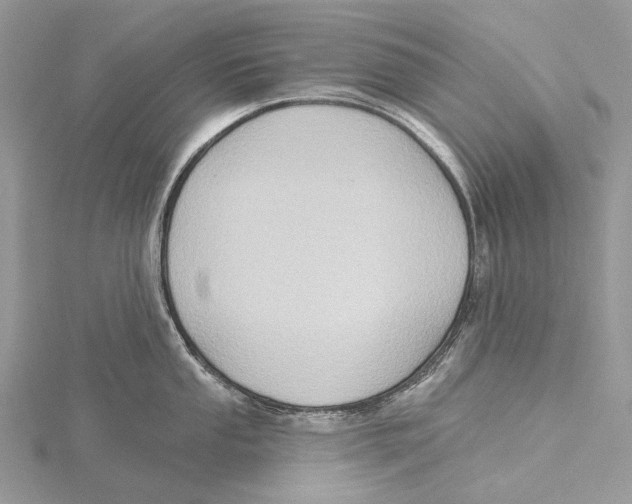 X0000115551053200912041028