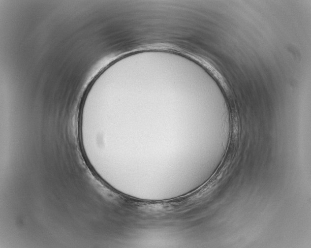 X0000115551054200912041028