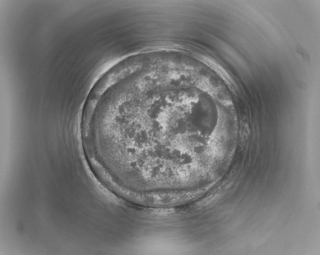 X0000115551055200912041028