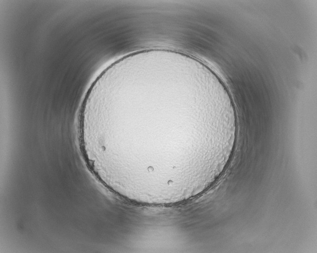 X0000115551056200912041028