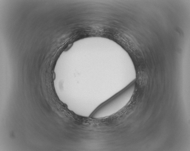 X0000115551057200912041027