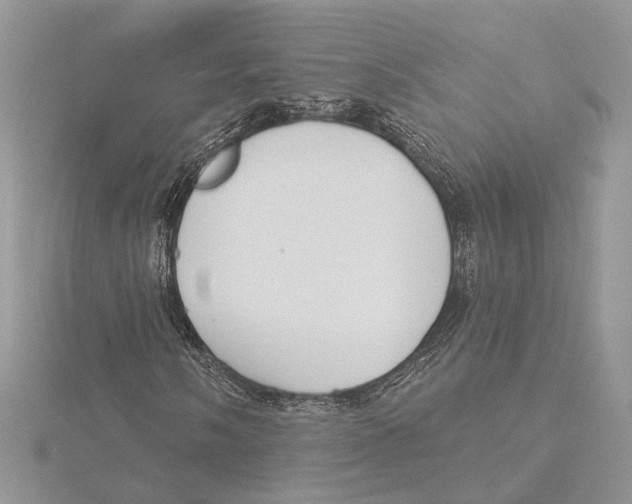 X0000115551058200912041027