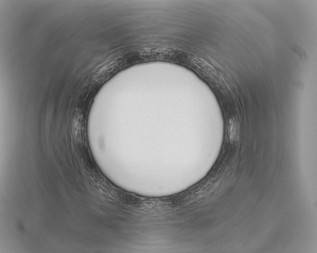 X0000115551059200912041027